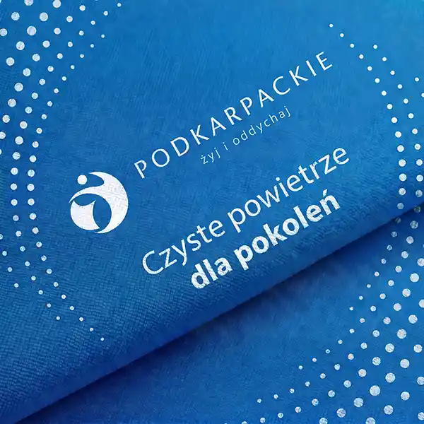 zbliżenie-na-grafikę-rollupu-reklamowego-z-herbem-gminy.webp